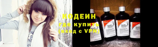 индика Пересвет