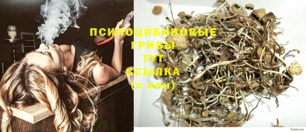 индика Пересвет