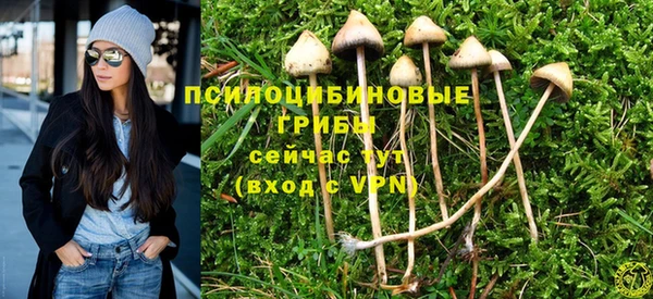 прущие крисы Алексин