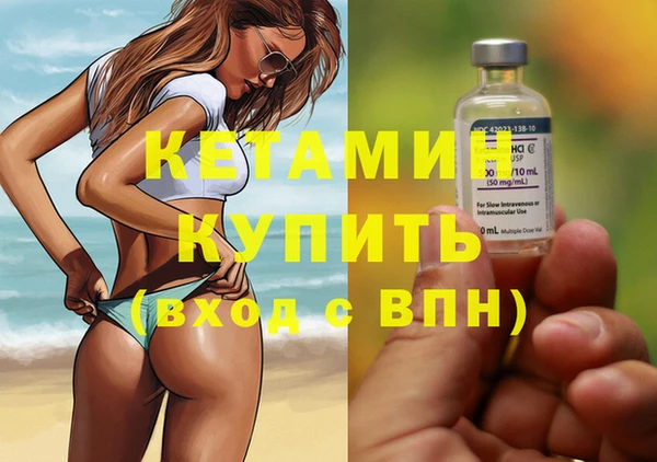 индика Пересвет