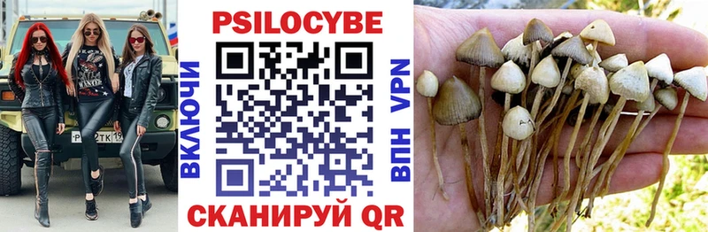 Галлюциногенные грибы GOLDEN TEACHER Ишим